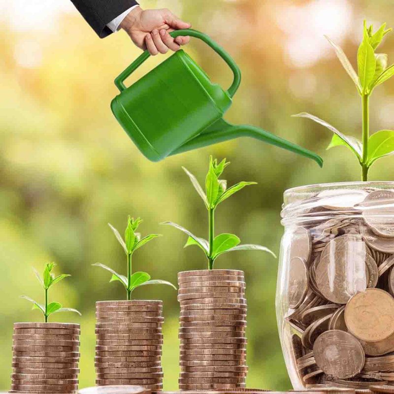10 Best Mutual Funds in India