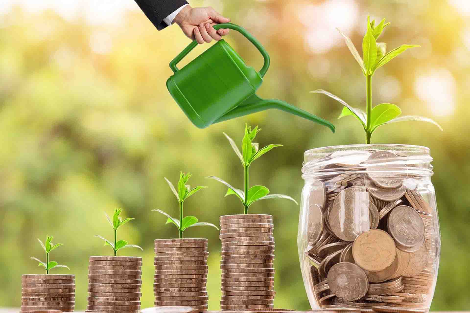 10 Best Mutual Funds in India