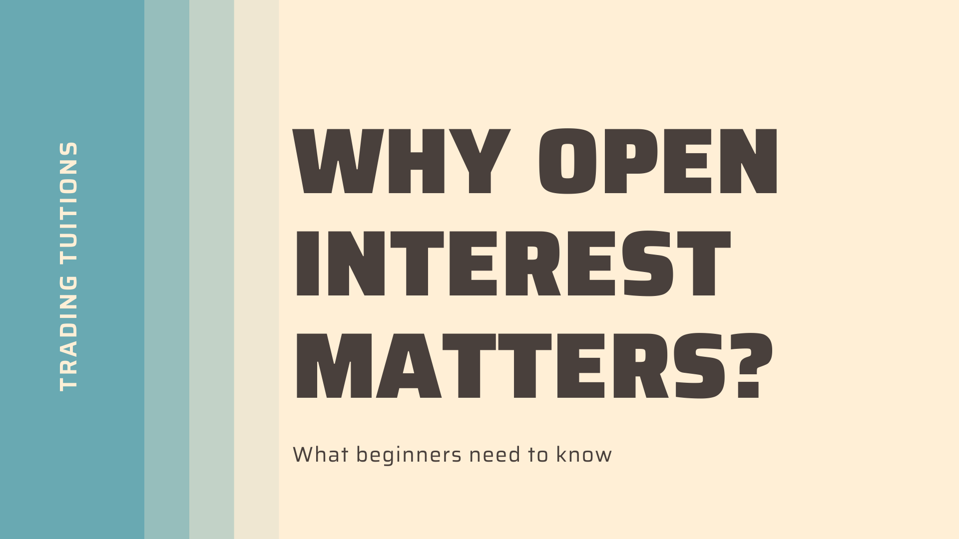 Why Open Interest Matters in Trading? Included Practical Examples