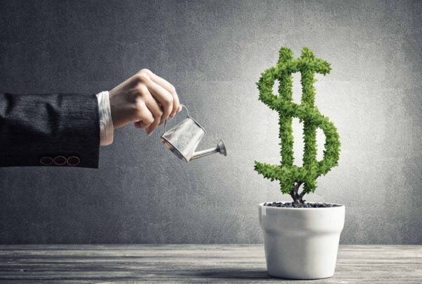 A Beginner’s Guide to Value Investing