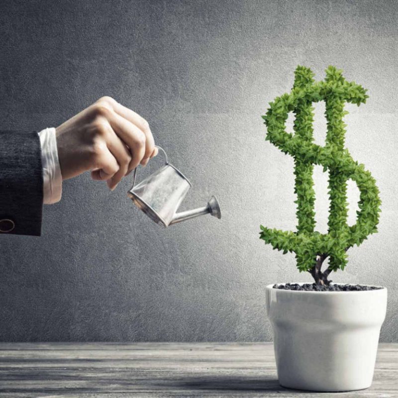 A Beginner’s Guide to Value Investing