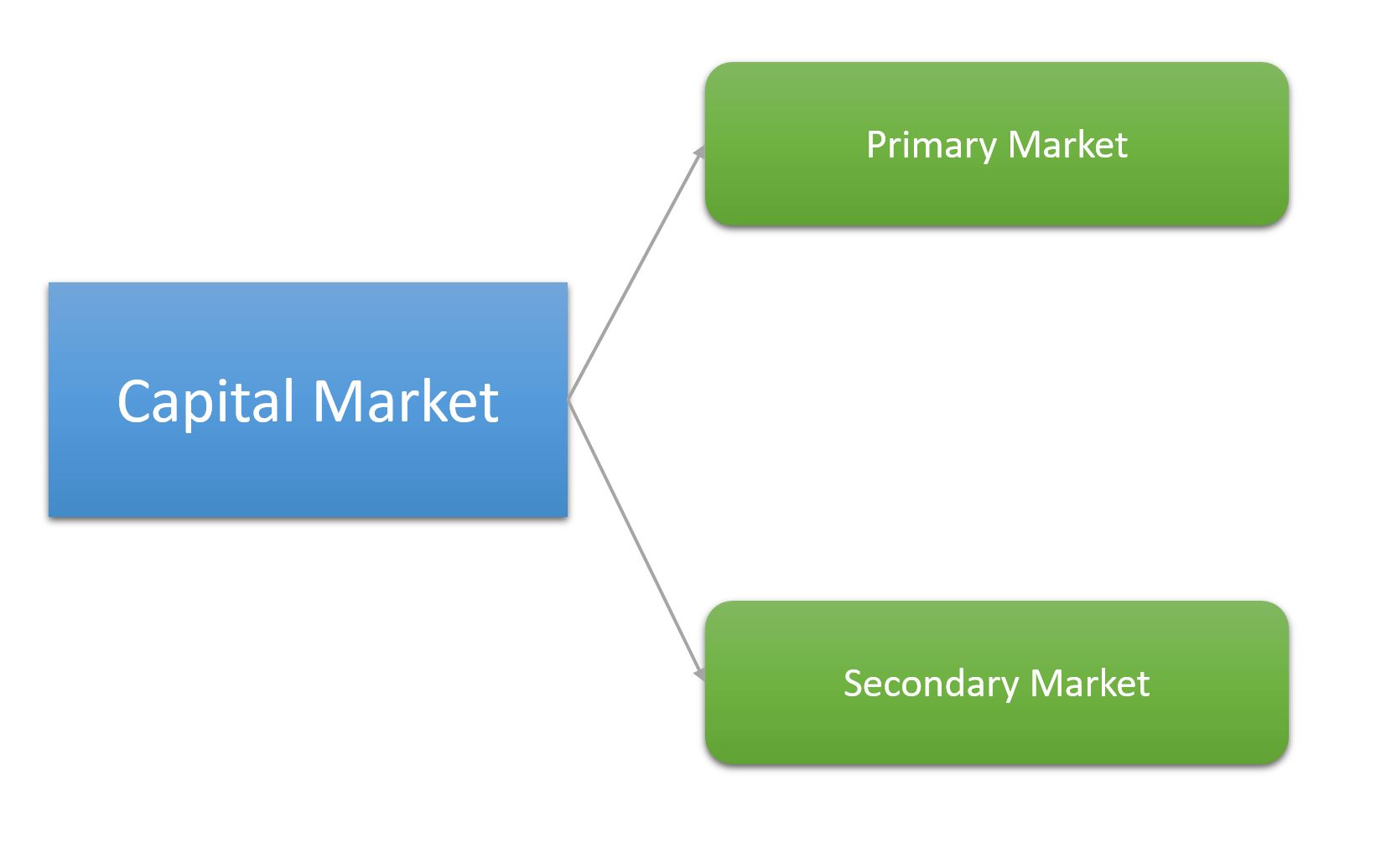 Initial-Public-Offering