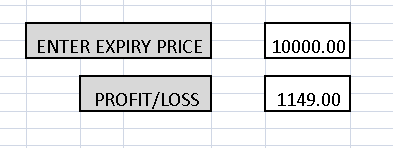 Input for Expiry Price on Payoff Calculator